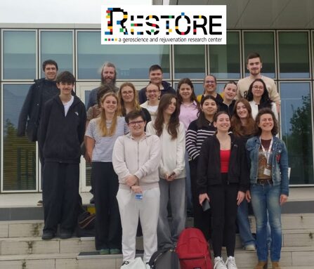 restore.jpg