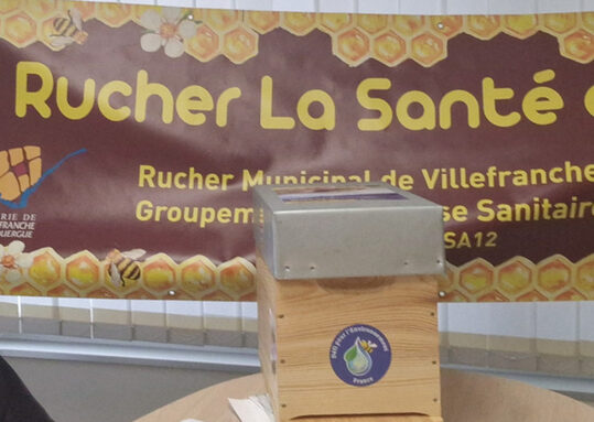 illust-rucher.jpg